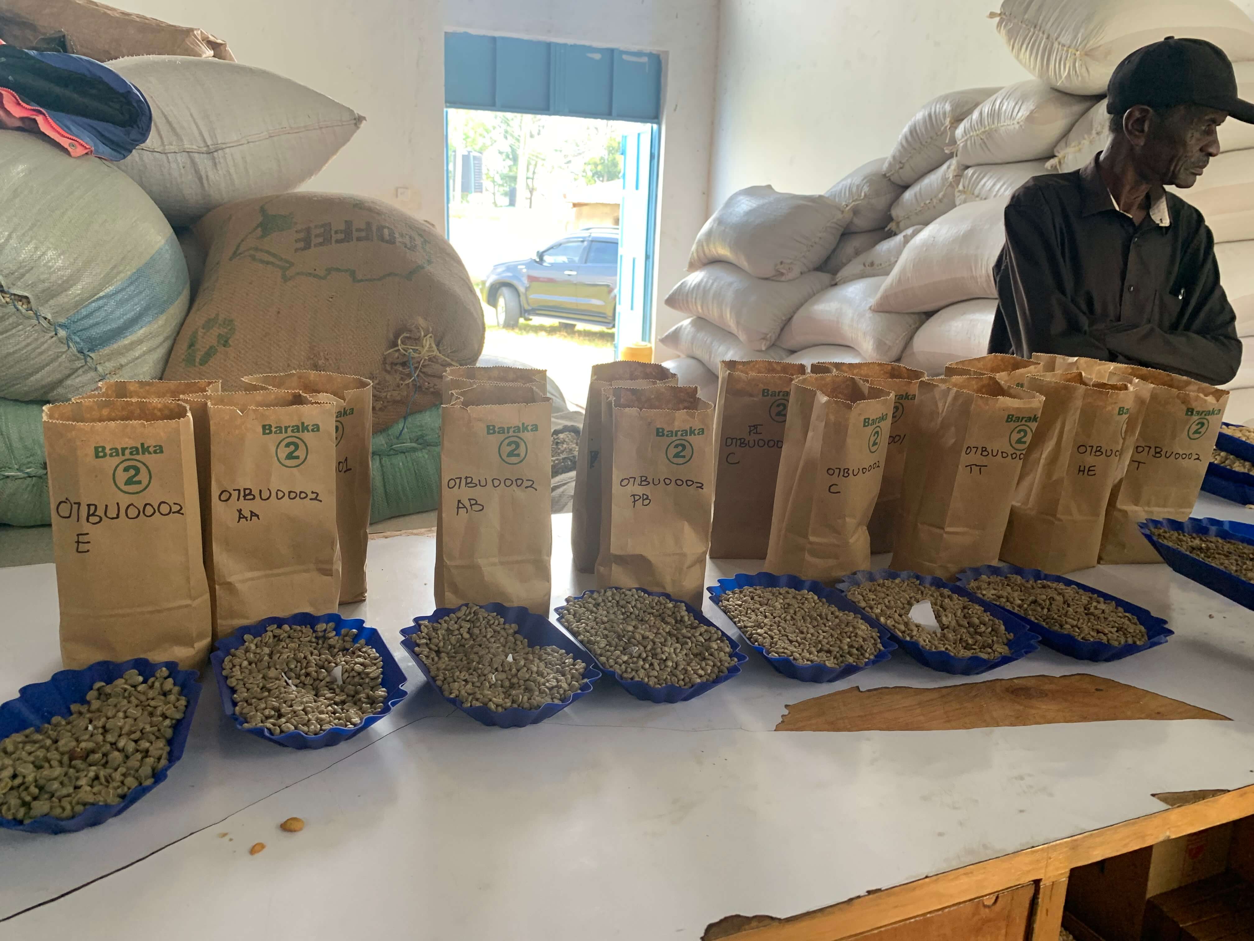 Grading green beans